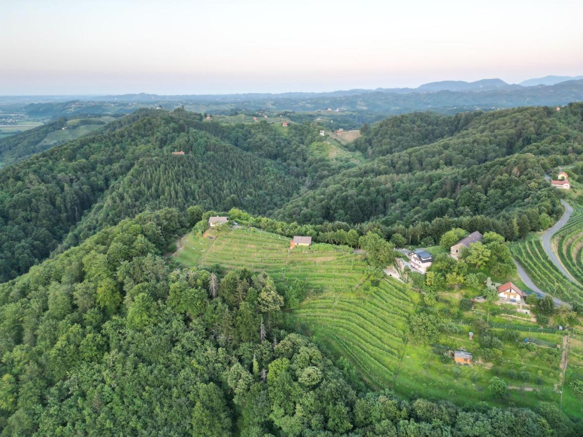 Adorable Guesthouse In The Middle Of Vineyards Ptujska Gora Exterior photo